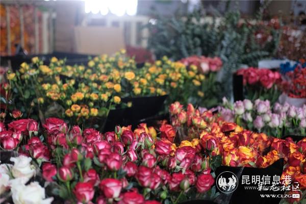 彩龙社区网友@大漠苍狼 拍摄5 彩龙社区网友@大漠苍狼 拍摄5