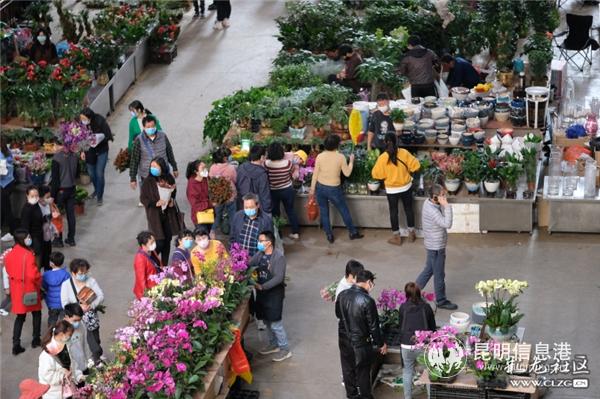 彩龙社区网友@大漠苍狼 拍摄2 彩龙社区网友@大漠苍狼 拍摄2