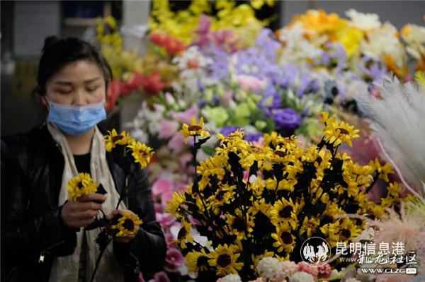 彩龙社区网友@大漠苍狼 拍摄。 彩龙社区网友@大漠苍狼 拍摄。