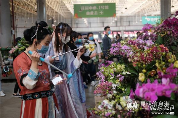 彩龙社区网友@大漠苍狼 拍摄4 彩龙社区网友@大漠苍狼 拍摄4