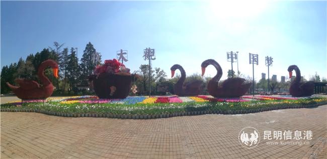 QQ图片20200318165954 QQ图片20200318165954