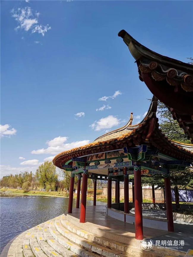 QQ图片20200318173302 QQ图片20200318173302