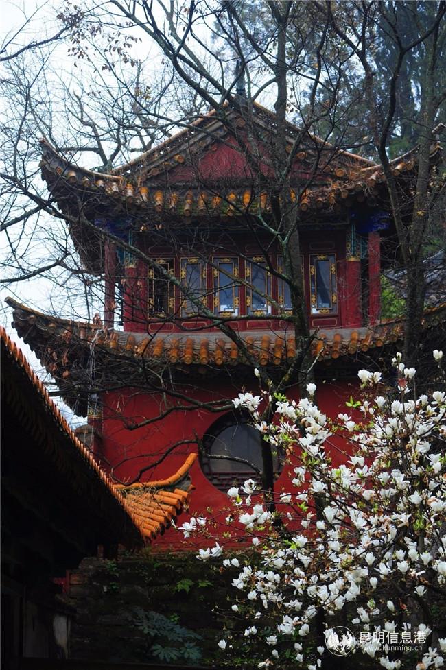 QQ图片20200318165927 QQ图片20200318165927