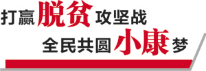 打赢脱贫攻坚战 全民共赢小康梦