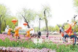 大观公园美景怡人。记者杨艳辉摄