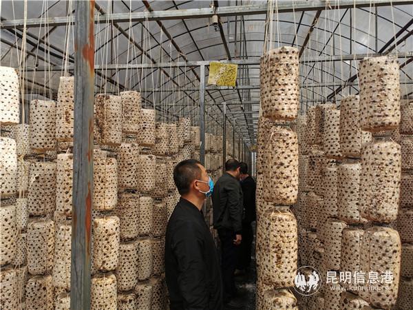 微信图片_20200323100446 微信图片_20200323100446