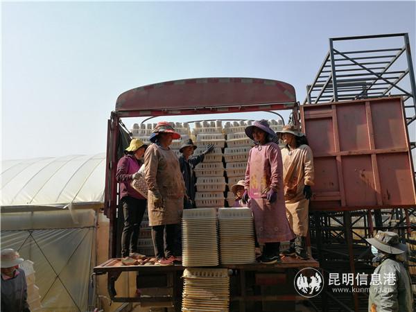 微信图片_20200323100504 微信图片_20200323100504