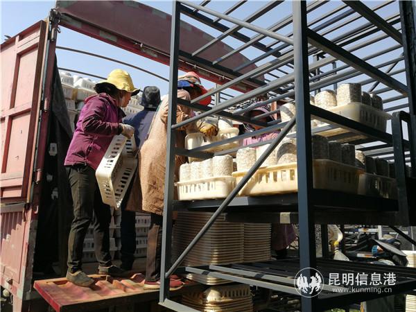 微信图片_20200323100509 微信图片_20200323100509