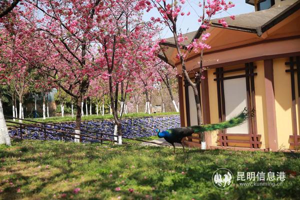 微信图片_20200330160706 微信图片_20200330160706