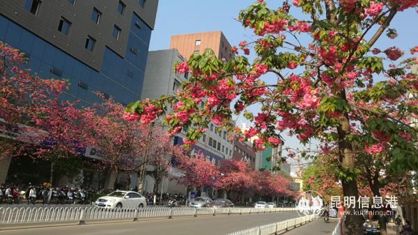 微信图片_20200330011424 微信图片_20200330011424