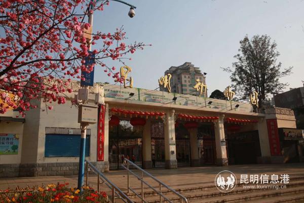 微信图片_20200330014603 微信图片_20200330014603