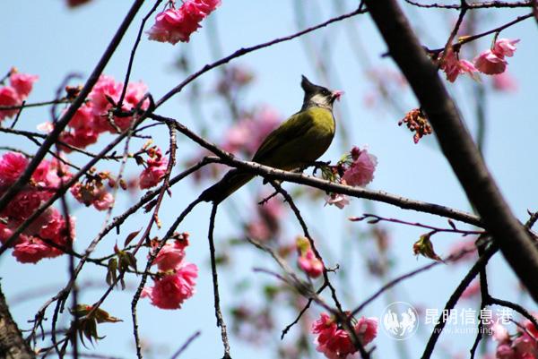 微信图片_20200330011416 微信图片_20200330011416