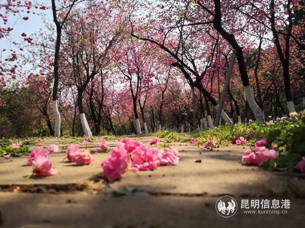 微信图片_20200330012635 微信图片_20200330012635