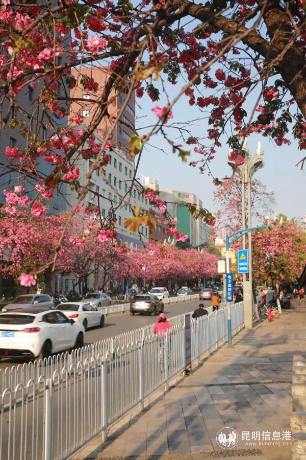 微信图片_20200330014554 微信图片_20200330014554