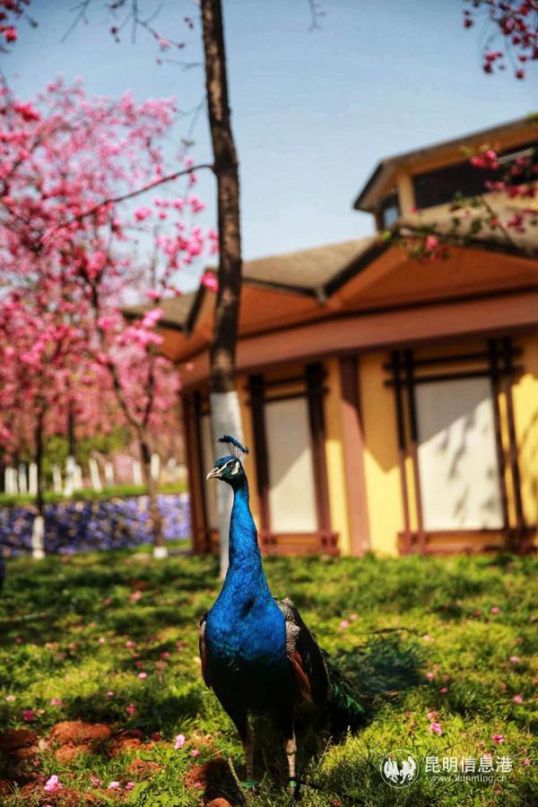 微信图片_20200330014712 微信图片_20200330014712