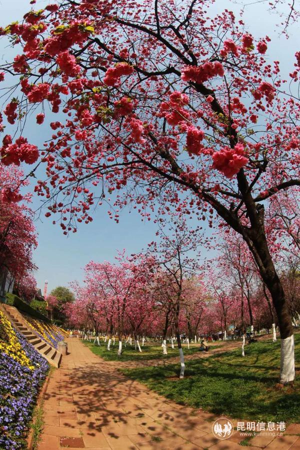 微信图片_20200330014611 微信图片_20200330014611