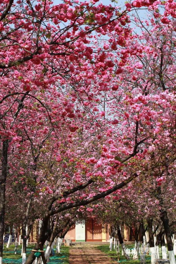 微信图片_20200330014652 微信图片_20200330014652