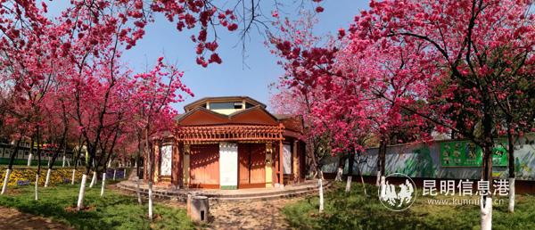 微信图片_20200330011432 微信图片_20200330011432