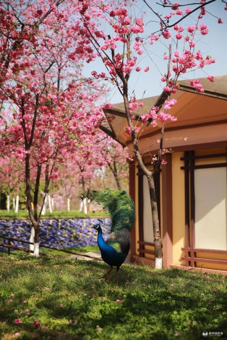 微信图片_20200330014802 微信图片_20200330014802