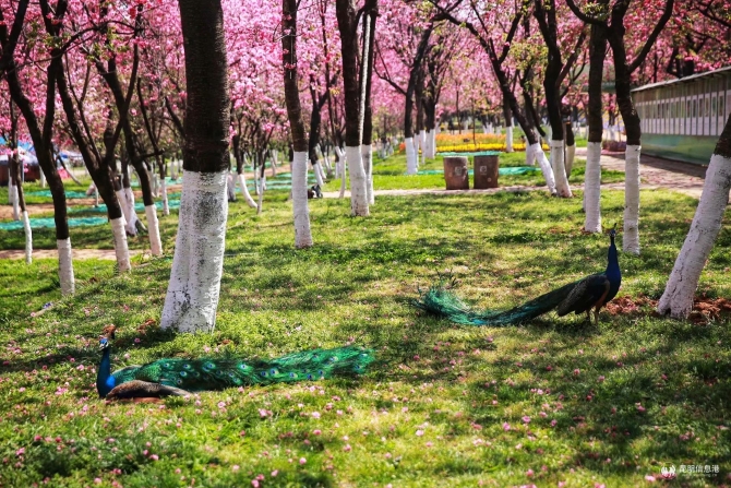 微信图片_20200330160609 微信图片_20200330160609