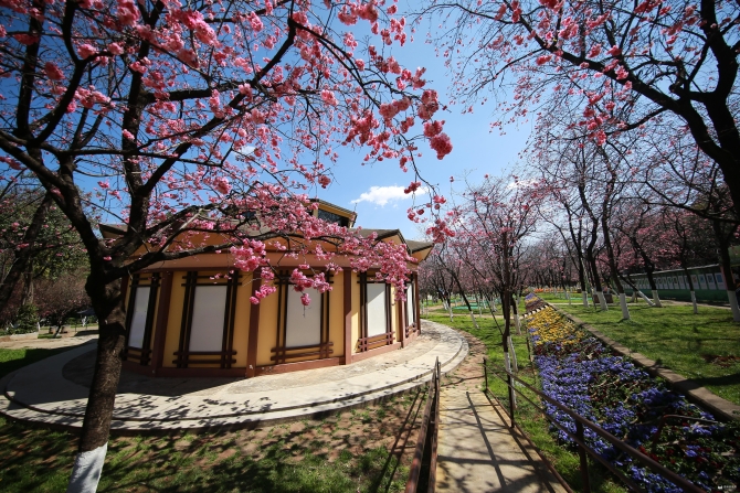 微信图片_20200313200901 微信图片_20200313200901