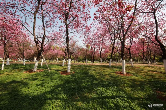 微信图片_20200330014733 微信图片_20200330014733