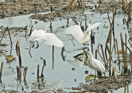 QQ截图202004140826423