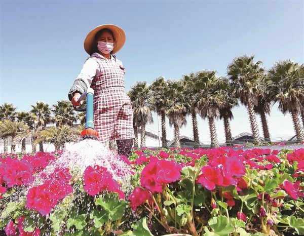 00301626472_5b249244