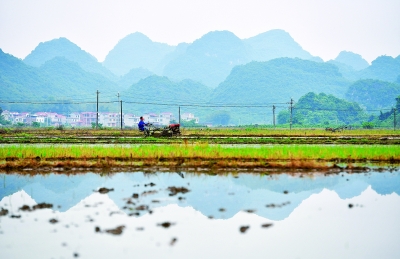 稳是大局、保是前提,“六保”如何齐发力 稳是大局、保是前提,“六保”如何齐发力
