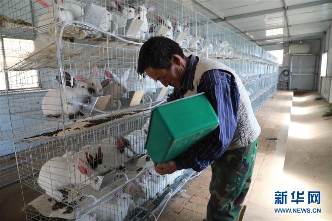 (在习近平新时代中国特色社会主义思想指引下——新时代新作为新篇章·习近平总书记关切事·图文互动)(1)啃下最后的硬骨头——脱贫攻坚挂牌督战进行时