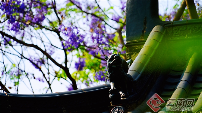 00301633589_7659a745