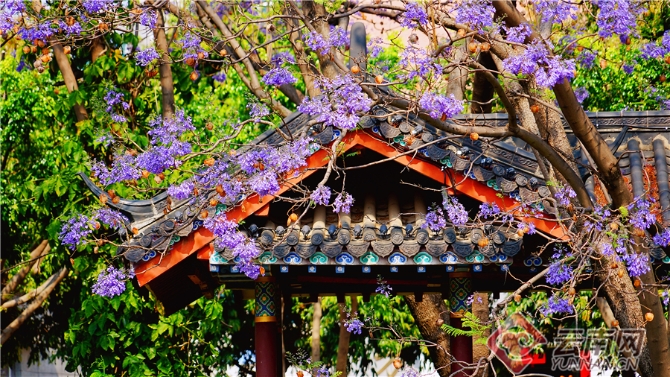 00301633604_9b11093c