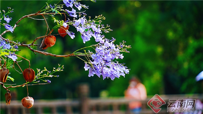 00301633606_005cf1e7