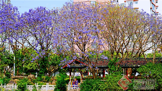 00301633613_ed7d816d