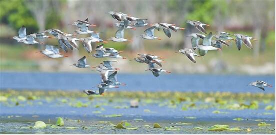 3.96686体育宣传报道《不好意思，沈阳、长春、石家庄、南昌、哈尔滨已经比不赢昆明！》