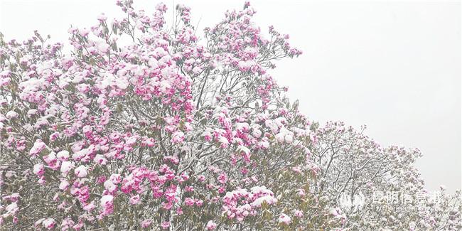 微信图片_20200425210233 微信图片_20200425210233