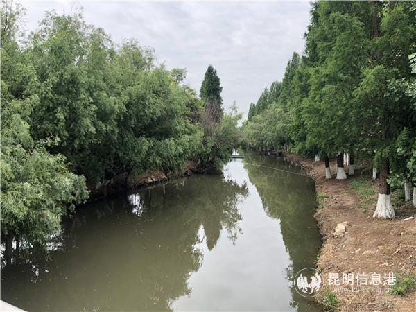 党建引领 撑起滇池治理“红色护盾” (2)