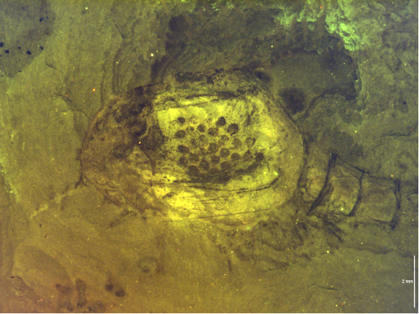 7755f3dbec685f3fb955ce09f56323d