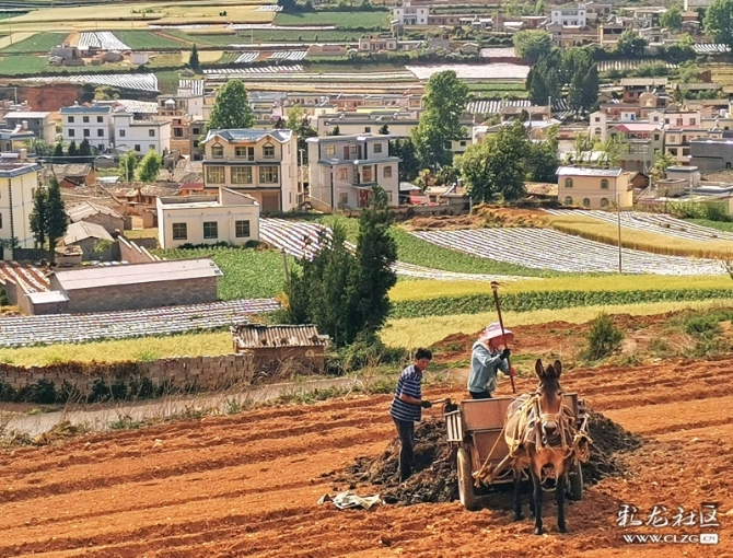 15887561354826901366425825083_21005 15887561354826901366425825083_21005