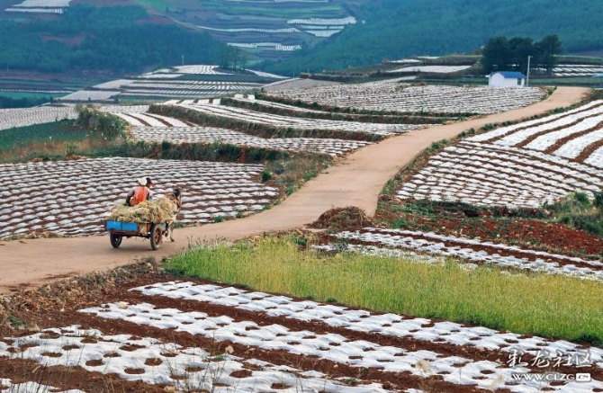 15887399068852655705401521710_21005 15887399068852655705401521710_21005