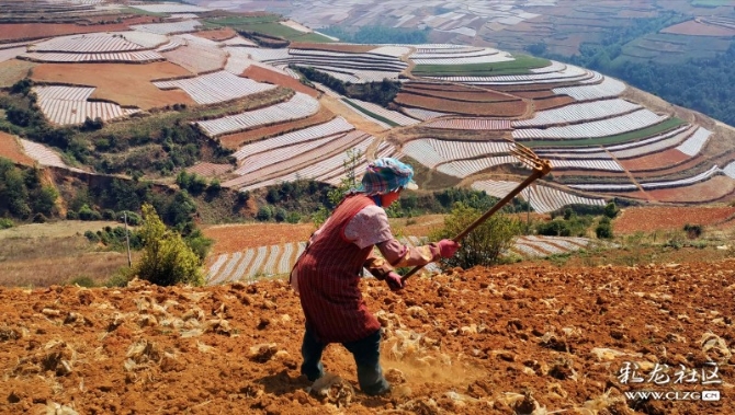 15887399068564470922746603640_21005 15887399068564470922746603640_21005