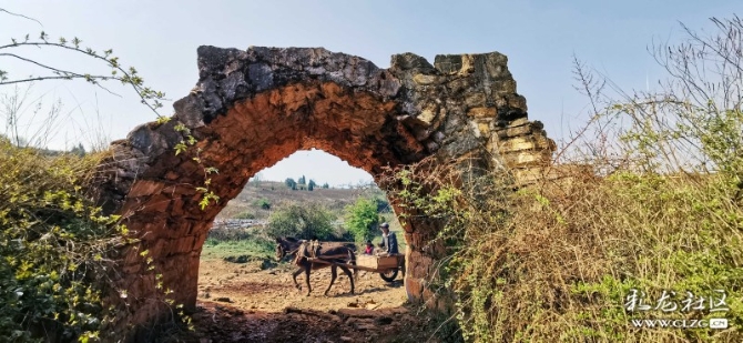 15887399066586297479559498176_21005 15887399066586297479559498176_21005