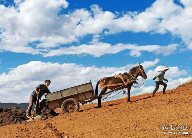 15887399064857722042550300380_21005 15887399064857722042550300380_21005