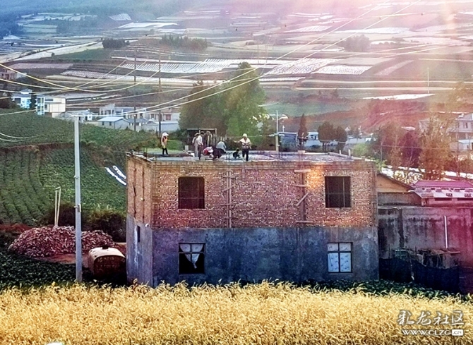 15887551058415074498969098923_21005 15887551058415074498969098923_21005