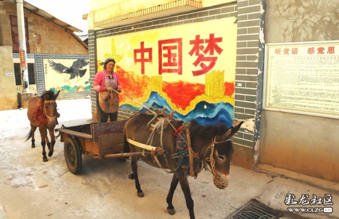 15887399069034122400134338423_21005 15887399069034122400134338423_21005