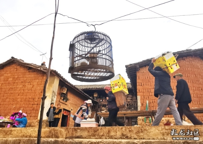 15887399064691017407312744258_21005 15887399064691017407312744258_21005