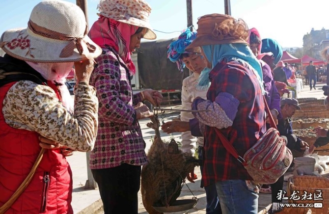 15887254359207938944865688018_21005 15887254359207938944865688018_21005