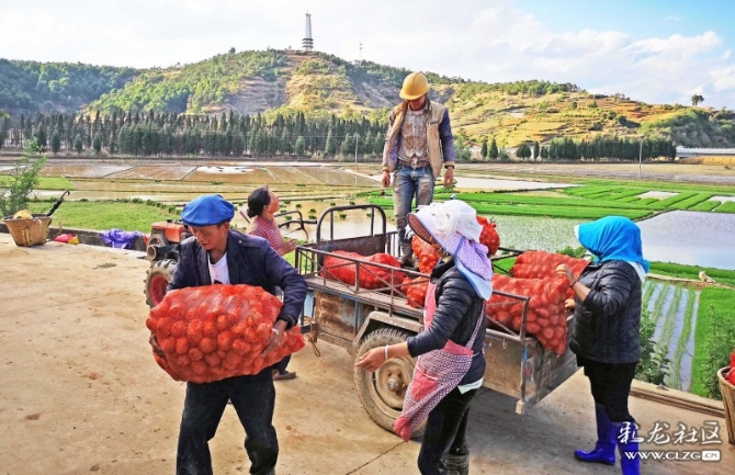 15887504065516282237317802042_21005 15887504065516282237317802042_21005