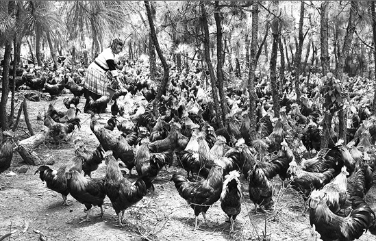 微信截图_20200511094119