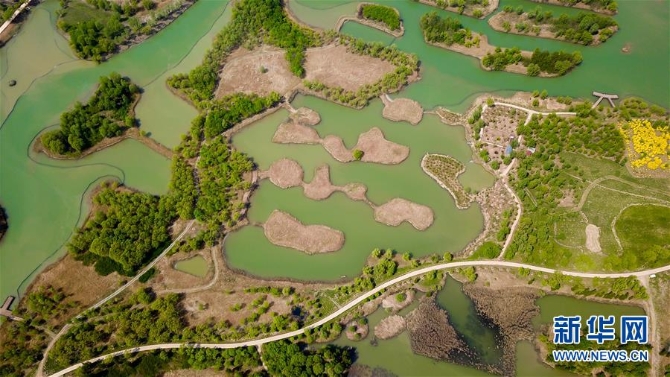 （春季美丽生态）（6）泉城济南：济西湿地春色美